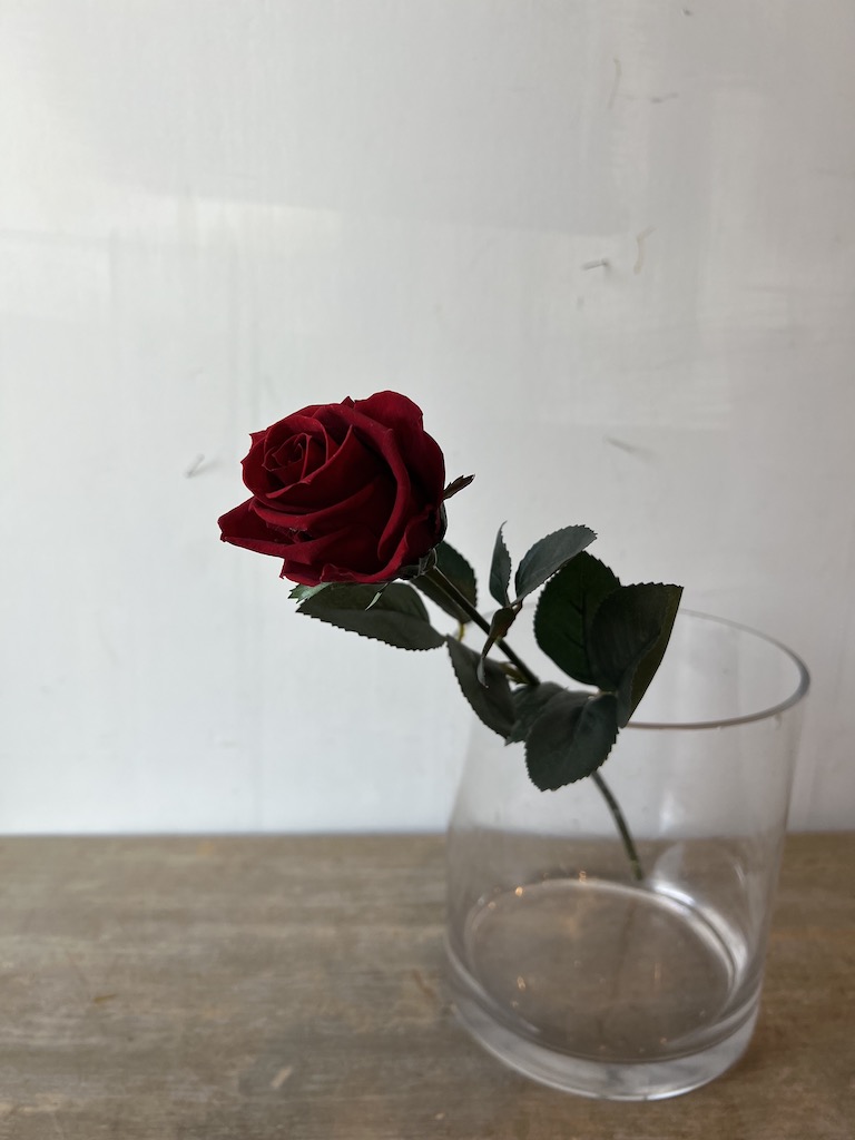 1024-propose38.JPG