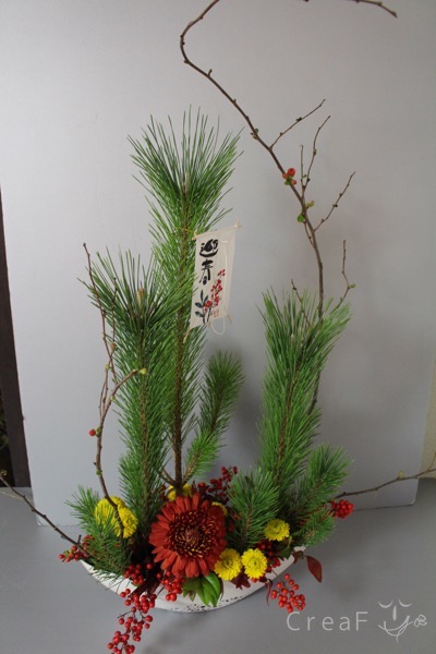 img_th_IMG_3262.jpg